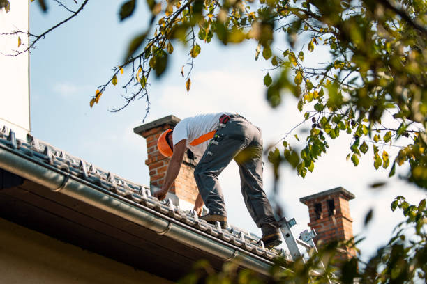 Best Residential Roof Replacement  in Haubstadt, IN