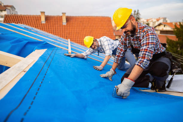 Best Metal Roofing Contractor  in Haubstadt, IN