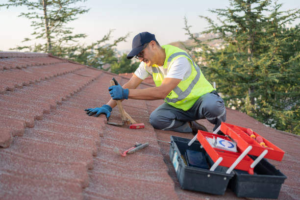 Best Residential Roofing Contractor  in Haubstadt, IN