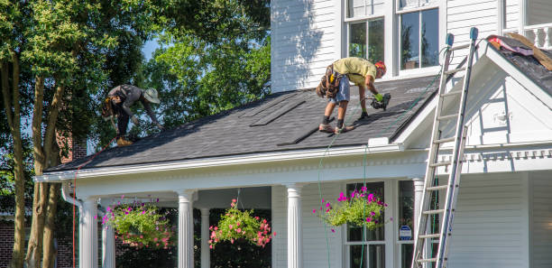 Best Roof Gutter Cleaning  in Haubstadt, IN
