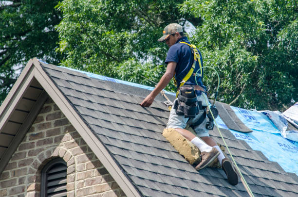 Best Shingle Roofing Installation  in Haubstadt, IN